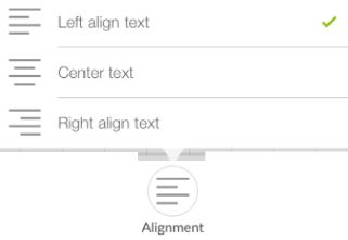 Text Alignment Icon