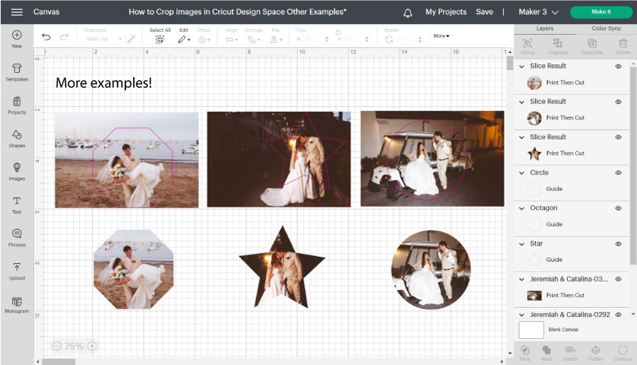 Screenshot of different ways and styles to Crop Images inside Cricut Design Space with the Slice tool.